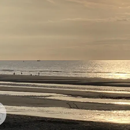 Sealight Apartament *